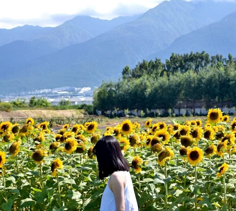 研學(xué)旅行課程設(shè)計的幾大分類，我們必須要知道