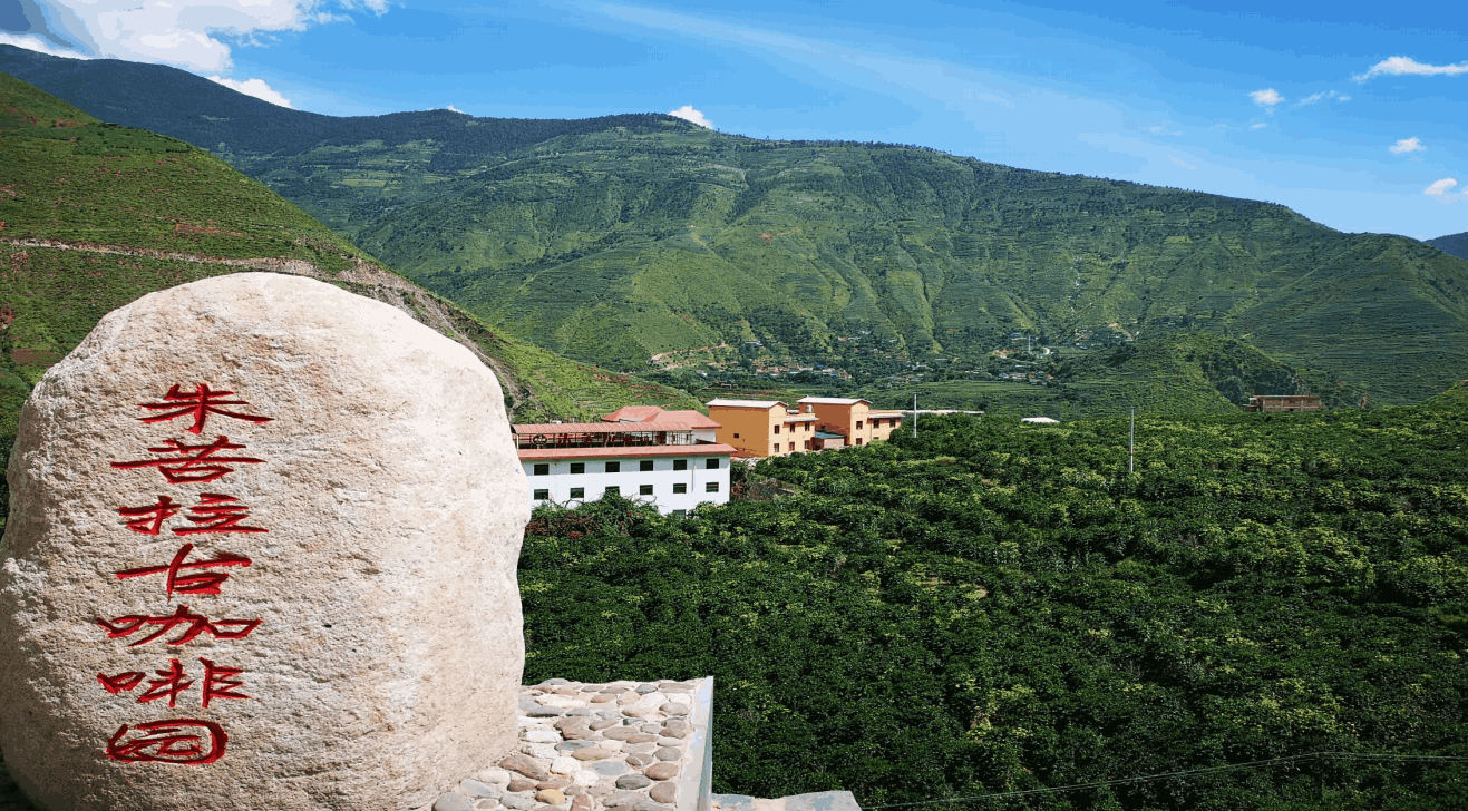 云南旅游,云南旅行社,云南團建公司,云南策劃公司,云南會議會展,云南策劃執行,大理旅游,大理旅行社,大理團建公司,大理會議公司,大理會議會展,大理策劃公司:咖豆尋根·咖啡深度研學團建之旅