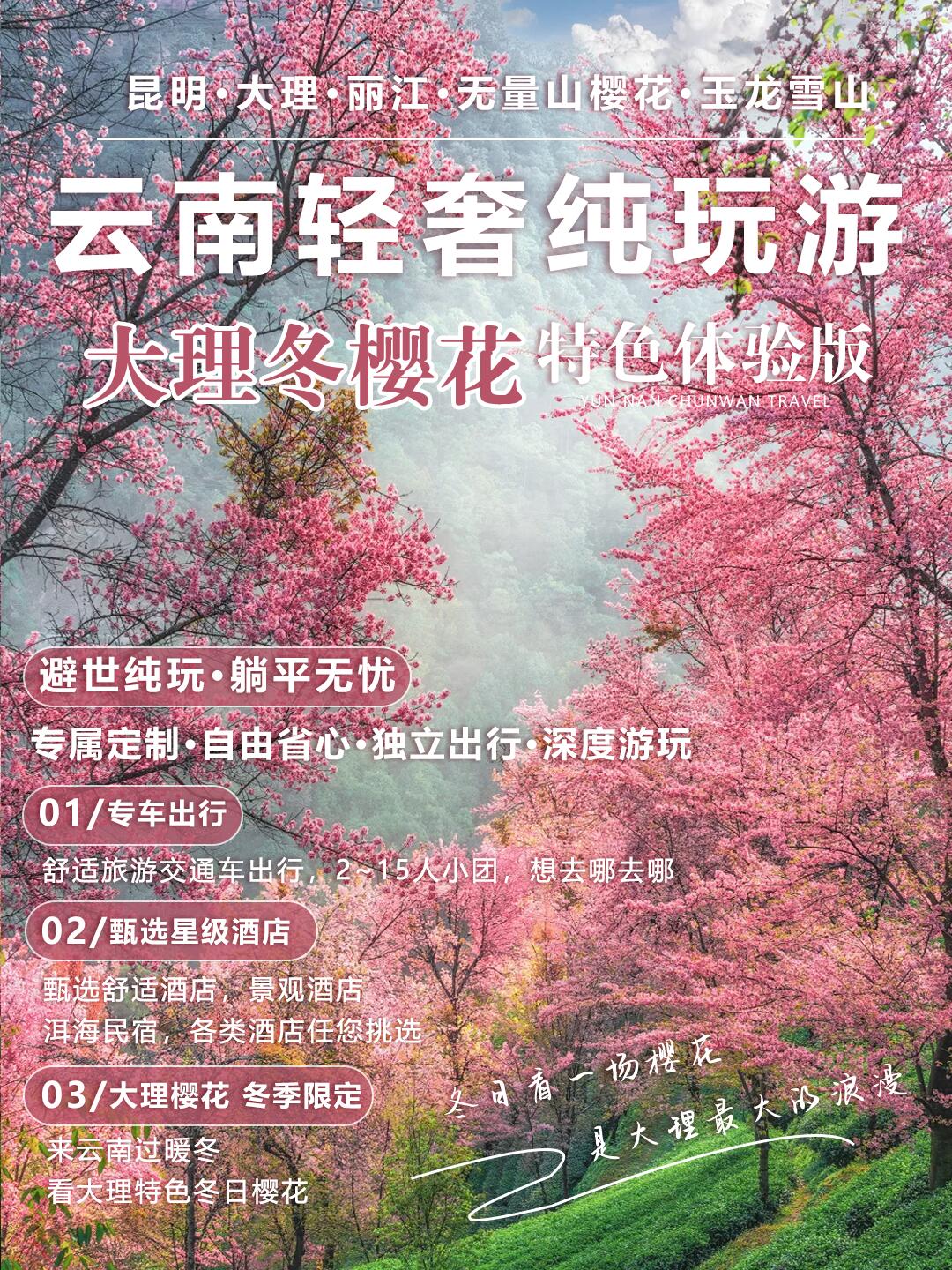 純玩小團人均1k+解鎖大理冬櫻6日游你不知道的秘密賞櫻地大理冬櫻寒假快沖！